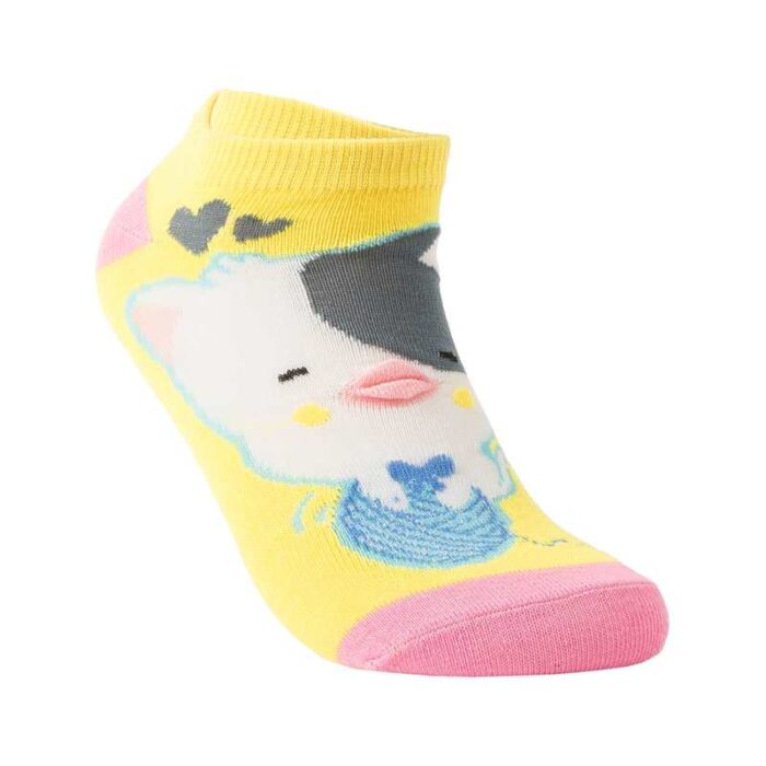 awesome ladies cotton socks China  suppliers