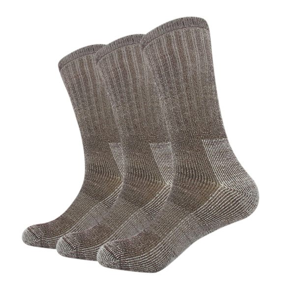 free sample socks